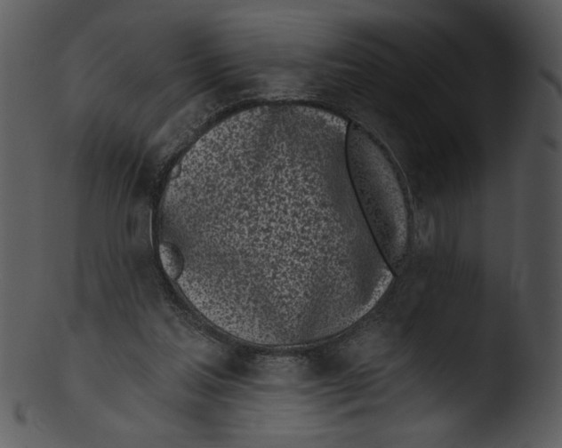 X0000103230205200809251312