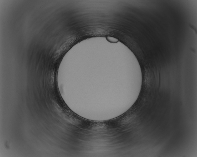X0000103230206200809251312