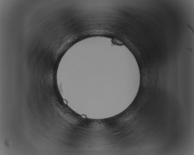 X0000103230207200809251312
