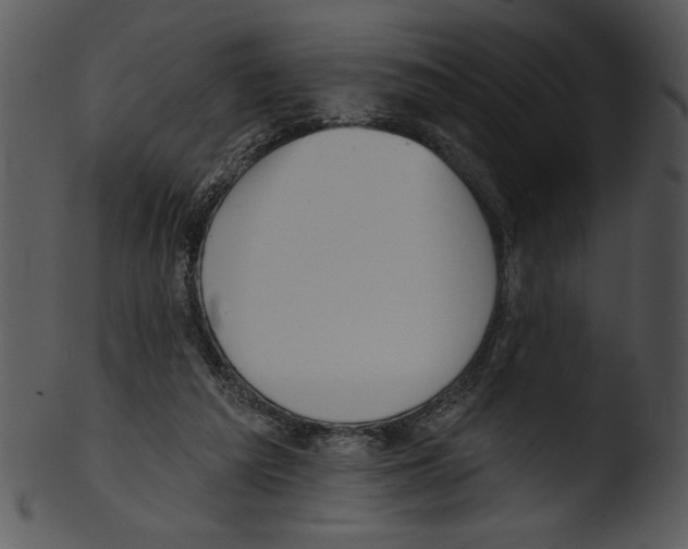 X0000103230209200809251312