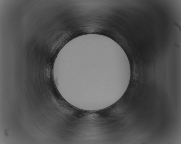 X0000103230210200809251312