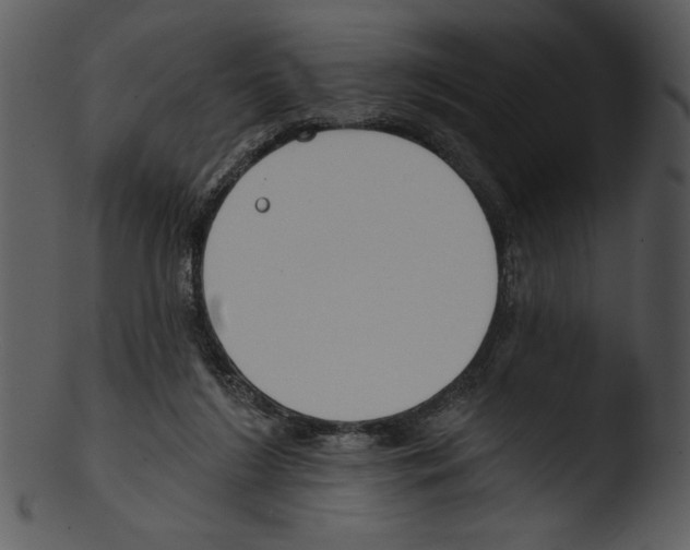 X0000103230212200809251312
