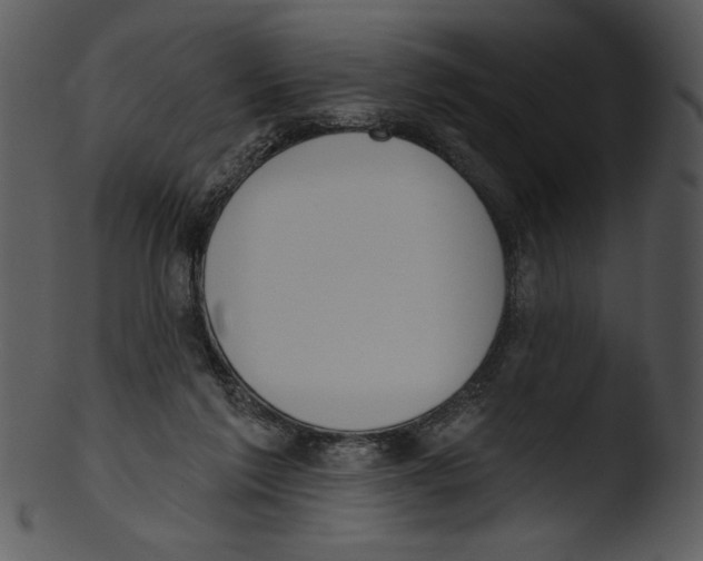 X0000103230213200809251312