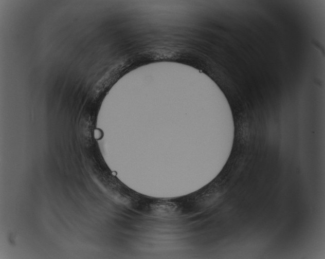 X0000103230215200809251312