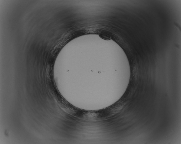 X0000103230217200809251312