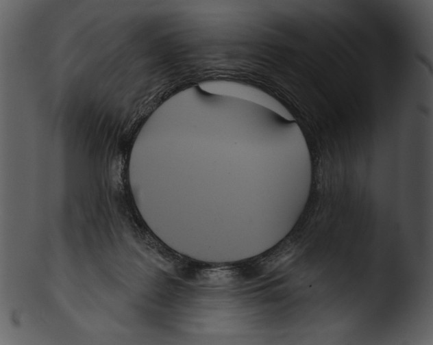 X0000103230219200809251312