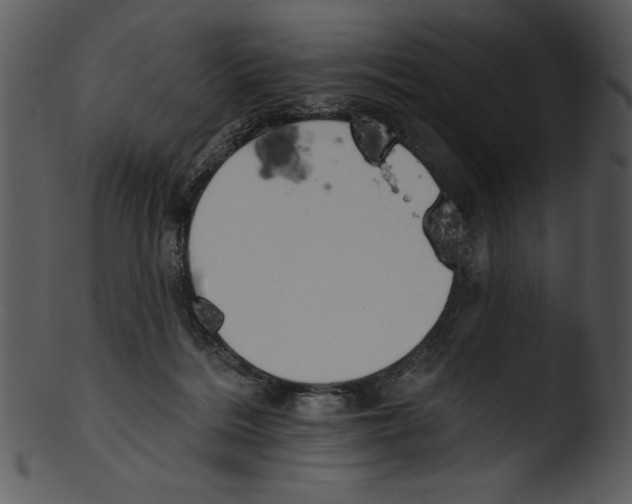 X0000103230220200809251312