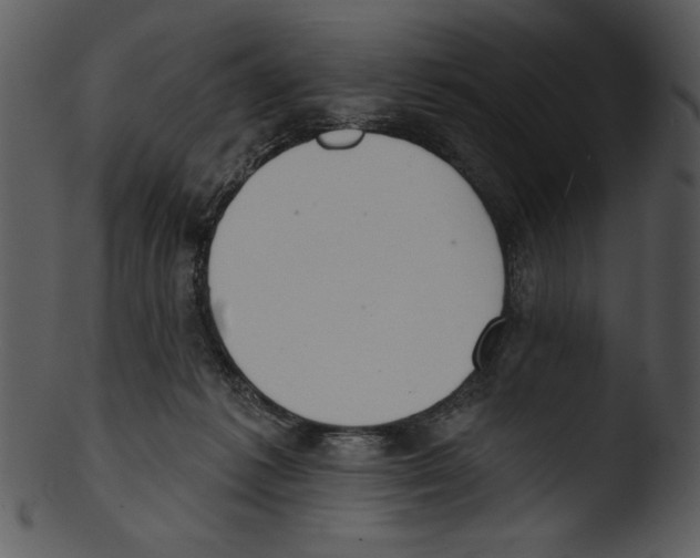 X0000103230221200809251312