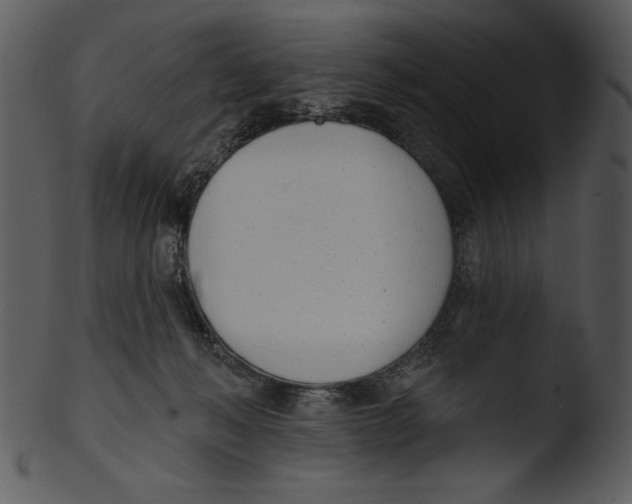 X0000103230222200809251312