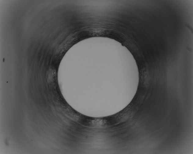 X0000103230225200809251312