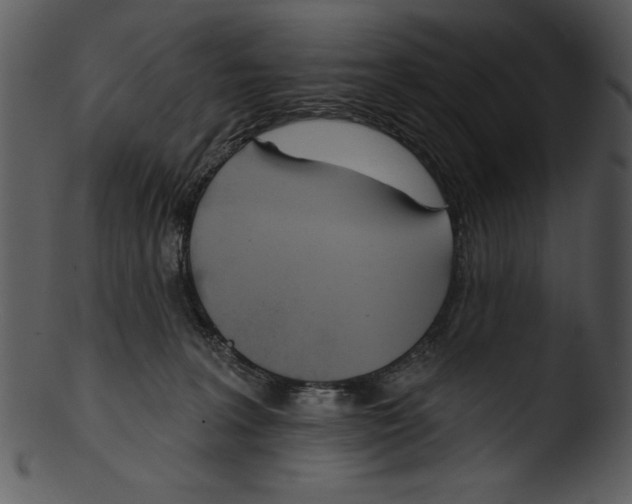 X0000103230227200809251312