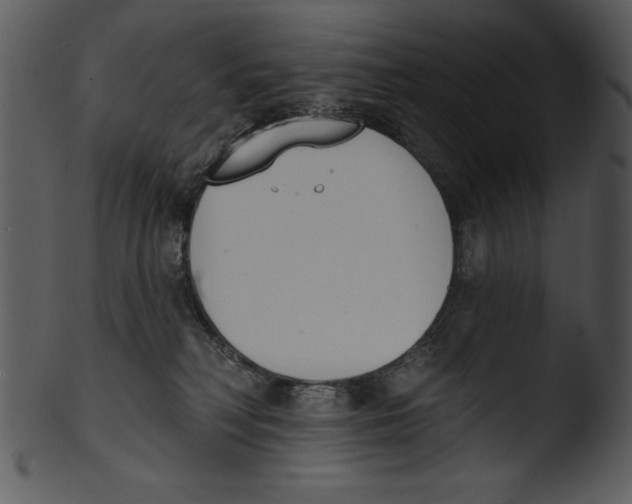 X0000103230230200809251312