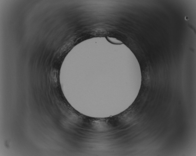 X0000103230232200809251312