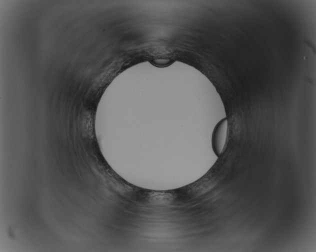 X0000103230234200809251312