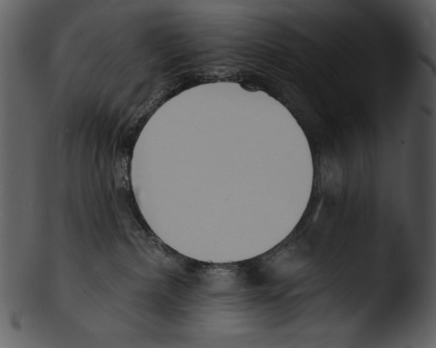 X0000103230236200809251312