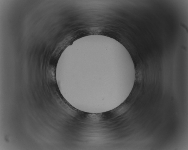 X0000103230238200809251312