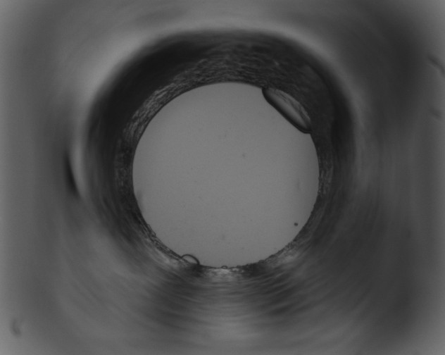 X0000103230239200809251311