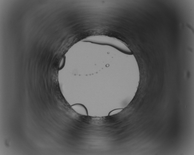 X0000103230240200809251311