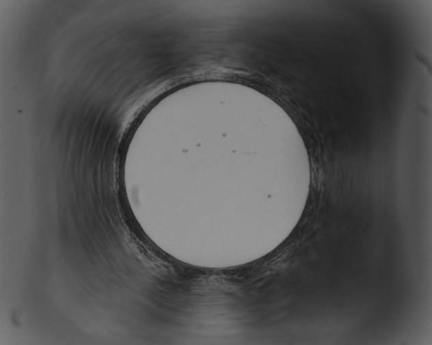 X0000103230244200809251311