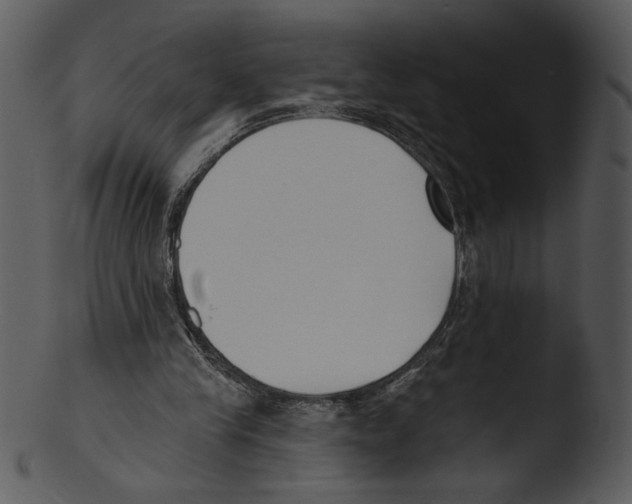 X0000103230245200809251311