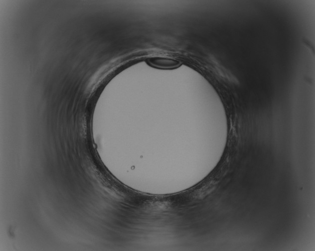 X0000103230247200809251311