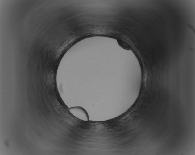 X0000103230249200809251311