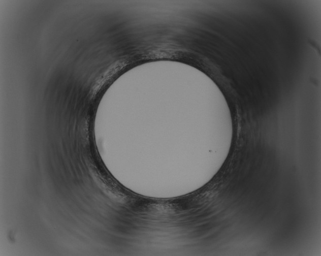 X0000103230250200809251311