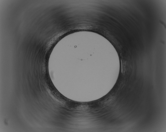 X0000103230252200809251311
