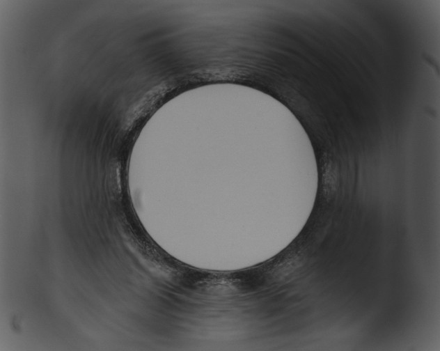 X0000103230254200809251311