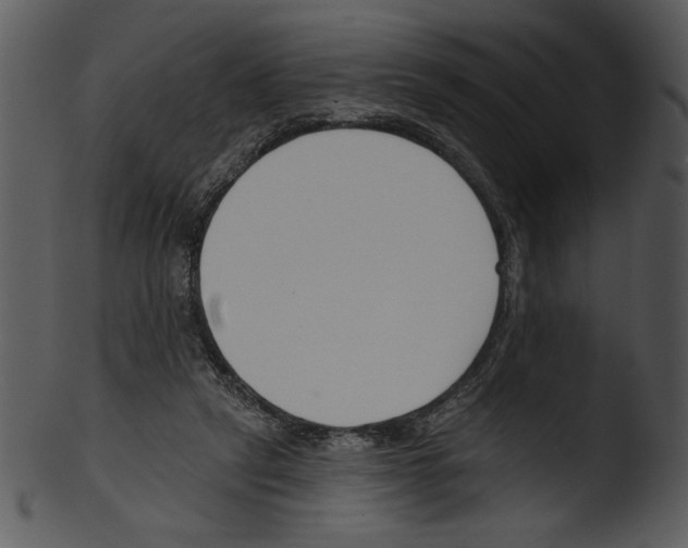 X0000103230257200809251311