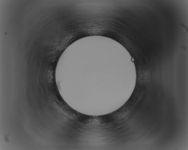 X0000103230259200809251311