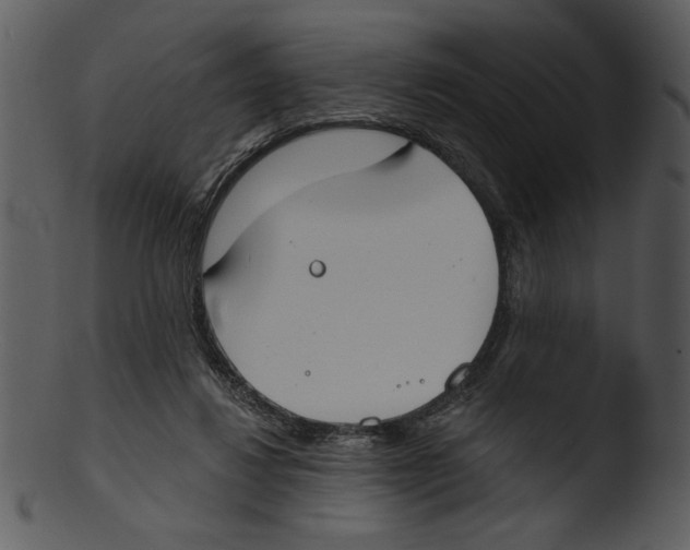 X0000103230260200809251311