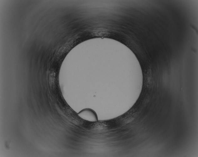 X0000103230263200809251311