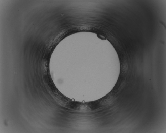 X0000103230264200809251311