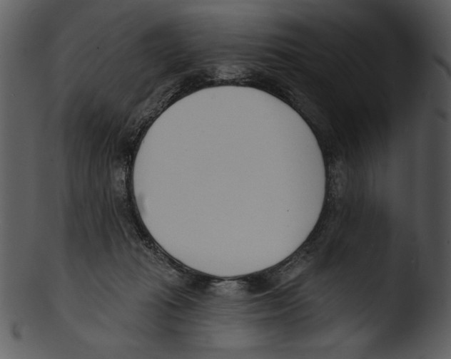 X0000103230269200809251311