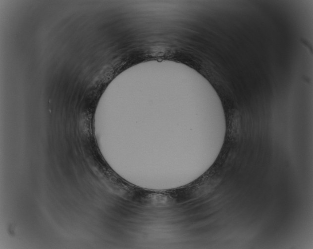 X0000103230272200809251311