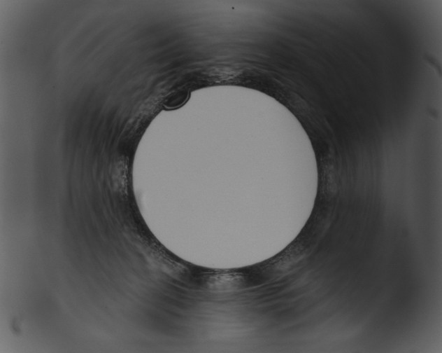 X0000103230274200809251311