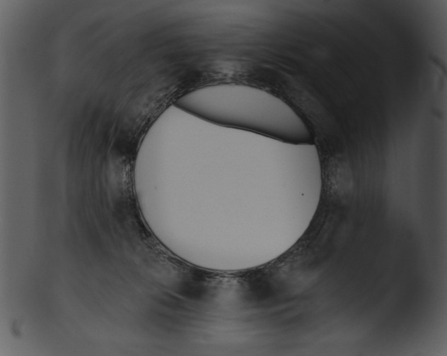 X0000103230276200809251311
