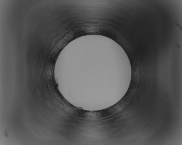 X0000103230277200809251311