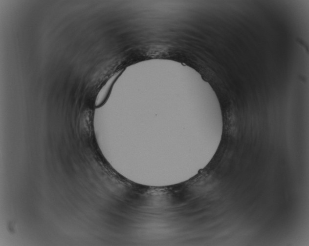X0000103230280200809251311
