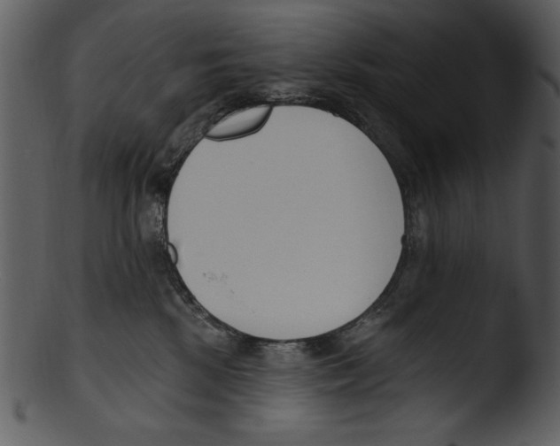 X0000103230281200809251311