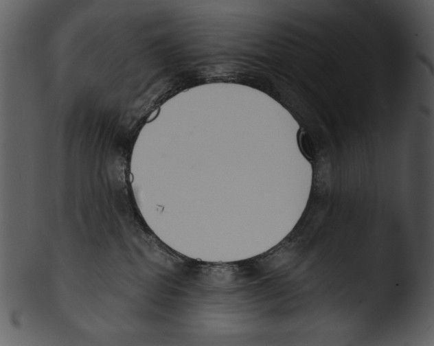 X0000103230282200809251311
