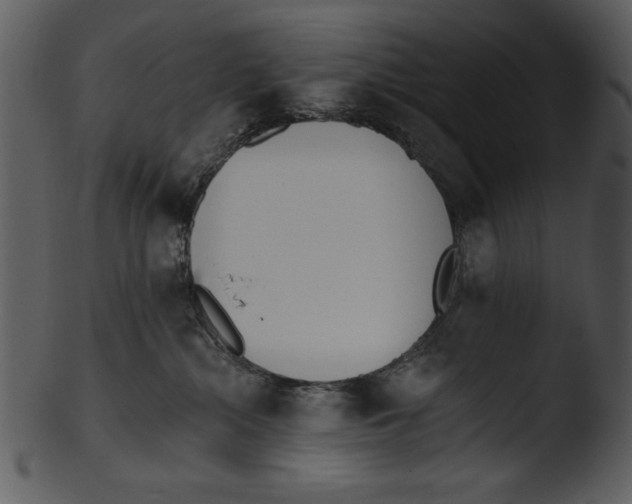 X0000103230284200809251311