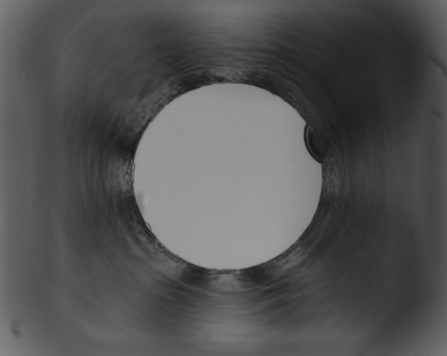 X0000103230285200809251311