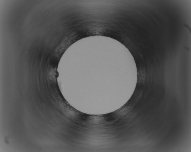 X0000103230286200809251311