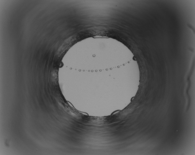 X0000103230288200809251311