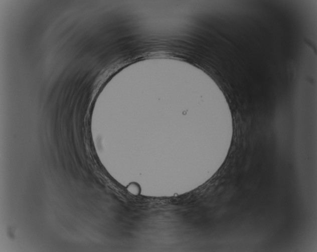 X0000103230289200809251311