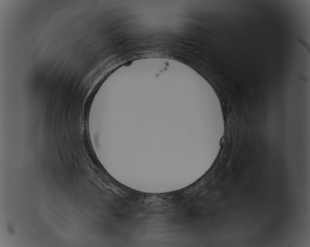 X0000103230290200809251311