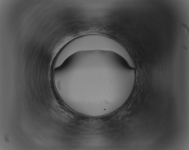 X0000103230292200809251311