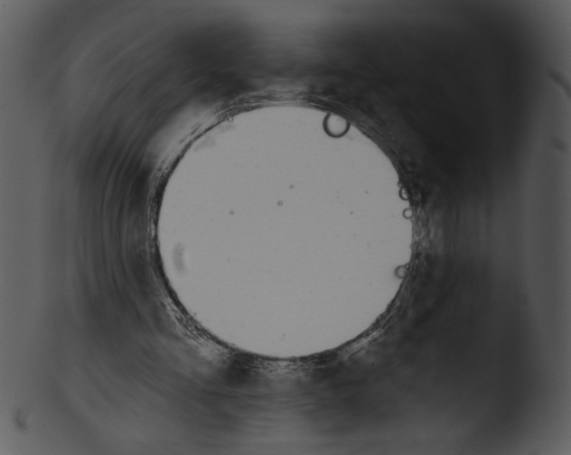 X0000103230293200809251311